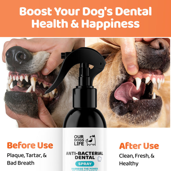 Our Dogs Life Dental Spray For Dogs