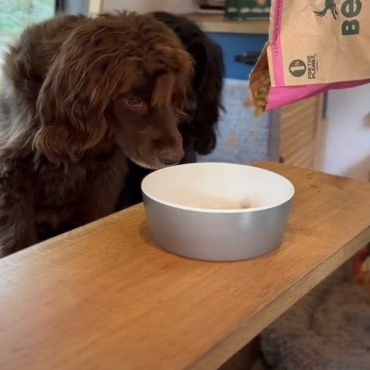 Bamboo Pet Bowl