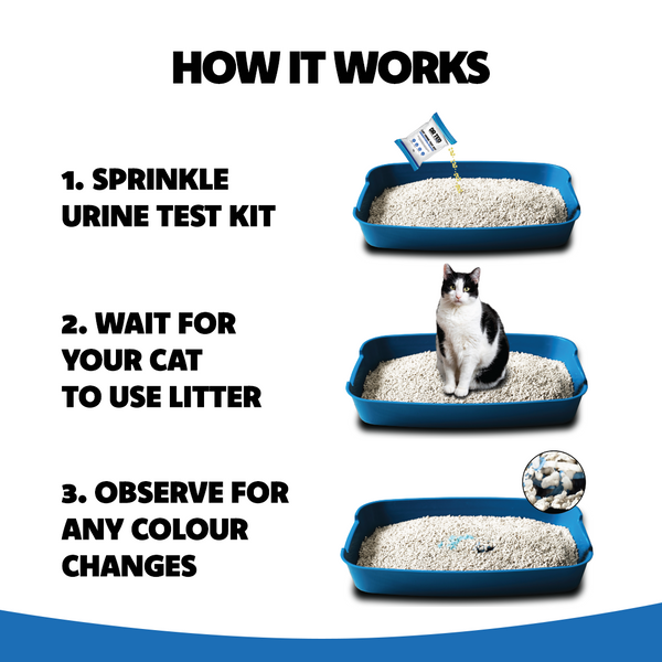 Cat Urine Test Kit Hematuria / Blood Detector