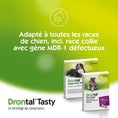 Load image into Gallery viewer, Drontal Tasty Bone Worming Tablets
