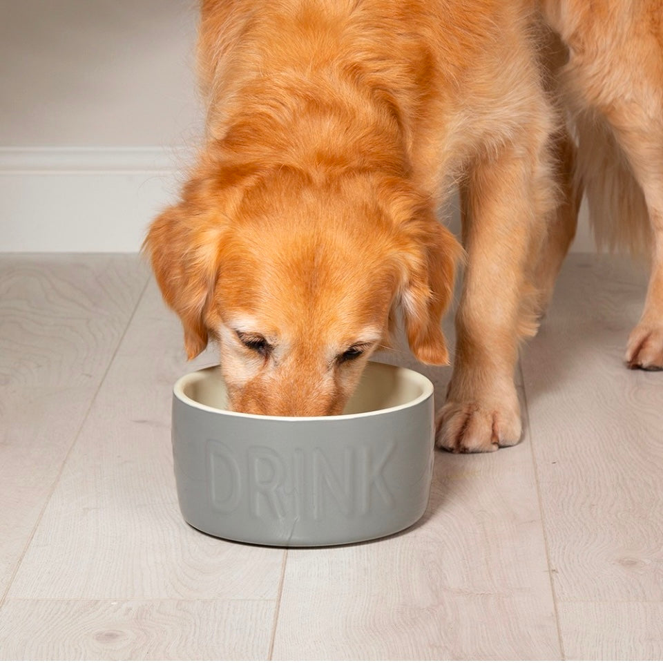 Classic Water Dog Bowl