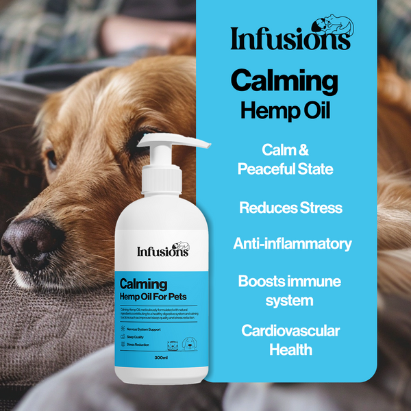 Calming Hemp Oil For Pets