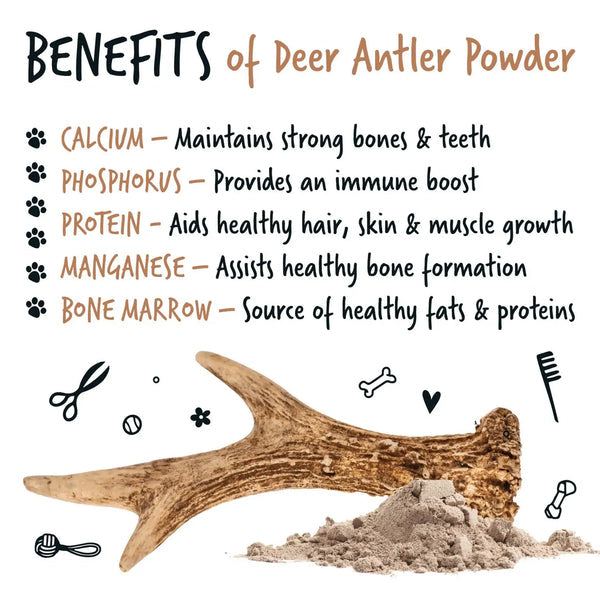 Bugalugs Deer Antler Powder for Dogs