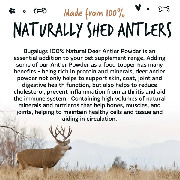 Bugalugs Deer Antler Powder for Dogs