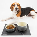 Load image into Gallery viewer, Classic Food Dog Bowl
