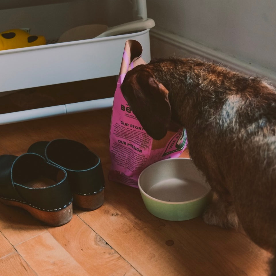 Bamboo Pet Bowl