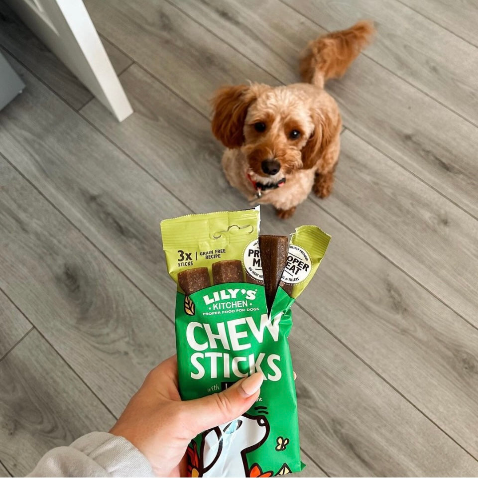 Chew Sticks with Lamb Dog Treats