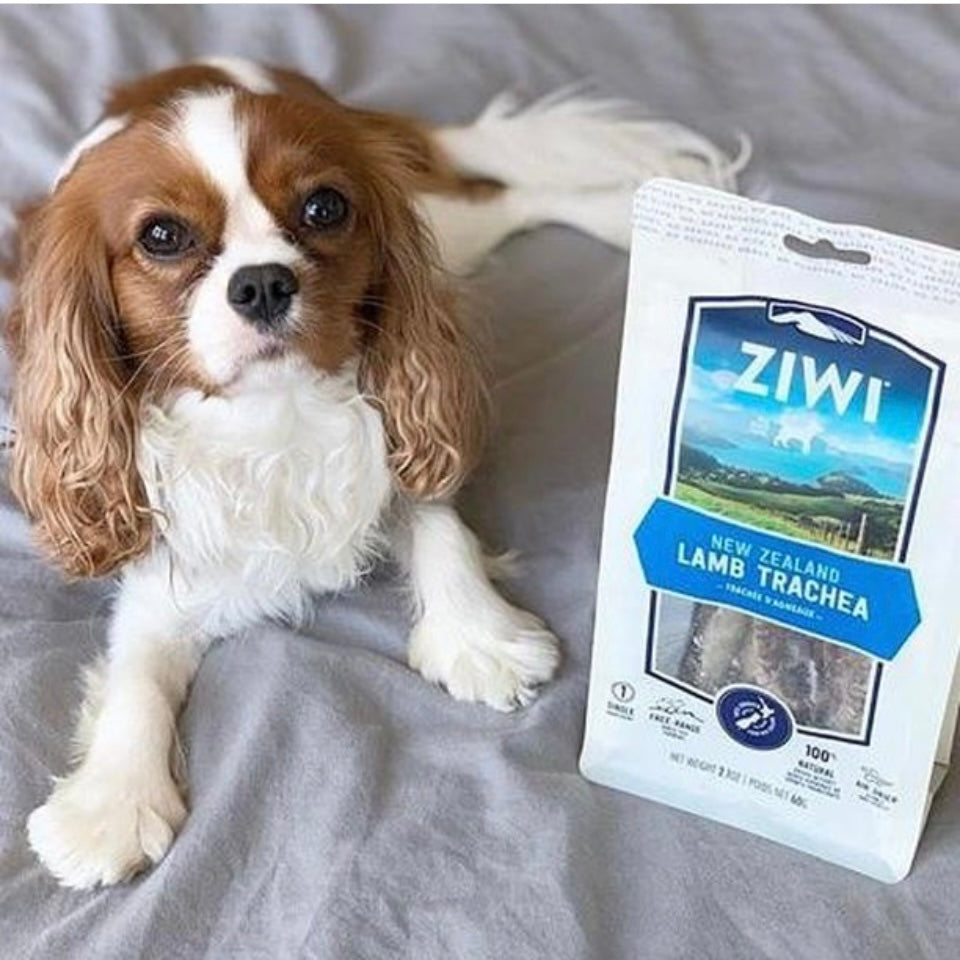 Ziwi Peak Lamb Trachea Treats 