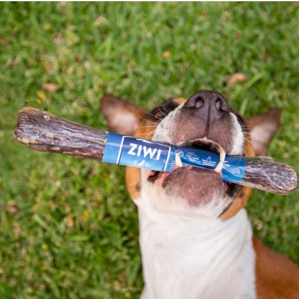 Ziwi Peak Full Venison Shank Bone Chews for Dogs