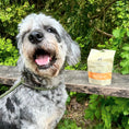 Load image into Gallery viewer, Joint Support - Turmeric & Pepper Dog Treats
