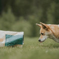 تحميل الصورة في عارض المعرض, Essential Stamina For All Breeds
