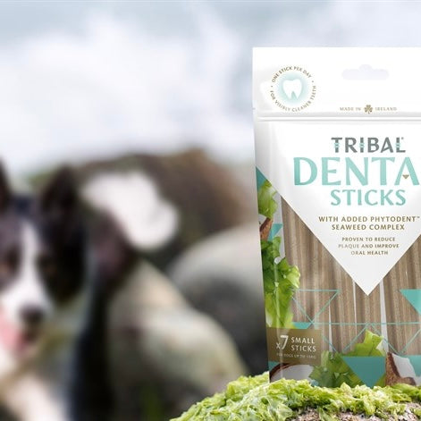 Dental Sticks For Large Dogs