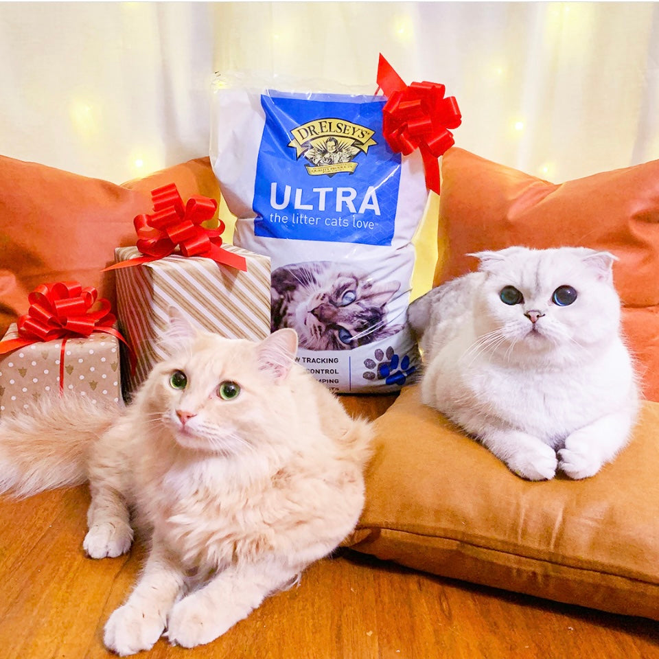 Premium Cat Litter Ultra - Unscented