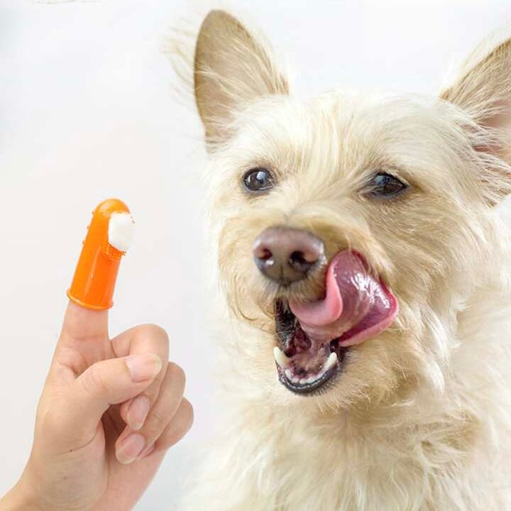 Our Dogs Life Finger Toothbrush For Dogs