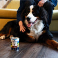 Load image into Gallery viewer, ZiwiPeak Wet Beef Recipe for Dogs, made with 91% grass-fed, free-range beef and organs, enriched with New Zealand green mussels for optimal canine nutrition.
