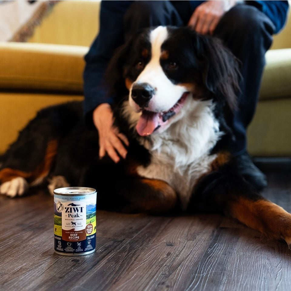 ZiwiPeak Wet Beef Recipe for Dogs, made with 91% grass-fed, free-range beef and organs, enriched with New Zealand green mussels for optimal canine nutrition.