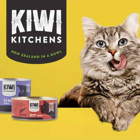 Beef & Mussel Dinner Canned Wet Kitten Food