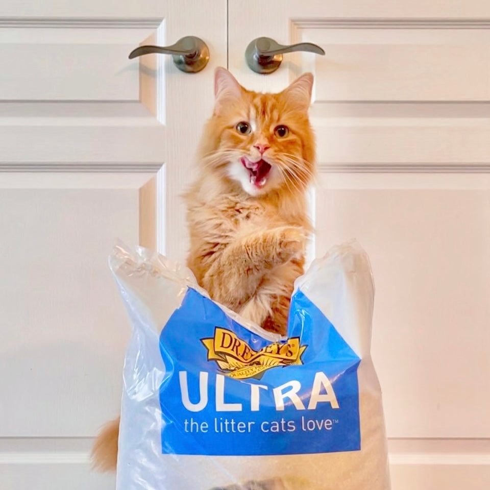 Premium Cat Litter Ultra - Unscented