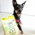 Load image into Gallery viewer, Dog enjoying ZEAL® natural pet treats"
