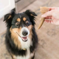 تحميل الصورة في عارض المعرض, Occupy Antler Natural Dental Chews for Dogs
