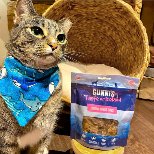 Herring Omega Bites for Cats