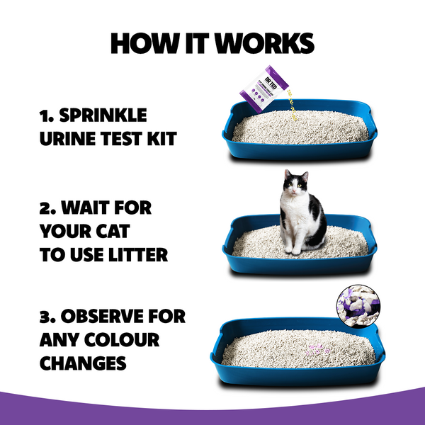 Cat Urine Test Kit Glucose Detector