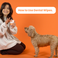Load image into Gallery viewer, Dog Teeth Cleaning Wipes
