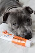 تحميل الصورة في عارض المعرض, Our Dogs Life Deep Cleaning Toothpaste For Dogs
