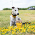 Load image into Gallery viewer, Essential Farm & Fields Tiny Crackers
