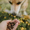 Load image into Gallery viewer, Essential Farm & Fields Tiny Crackers
