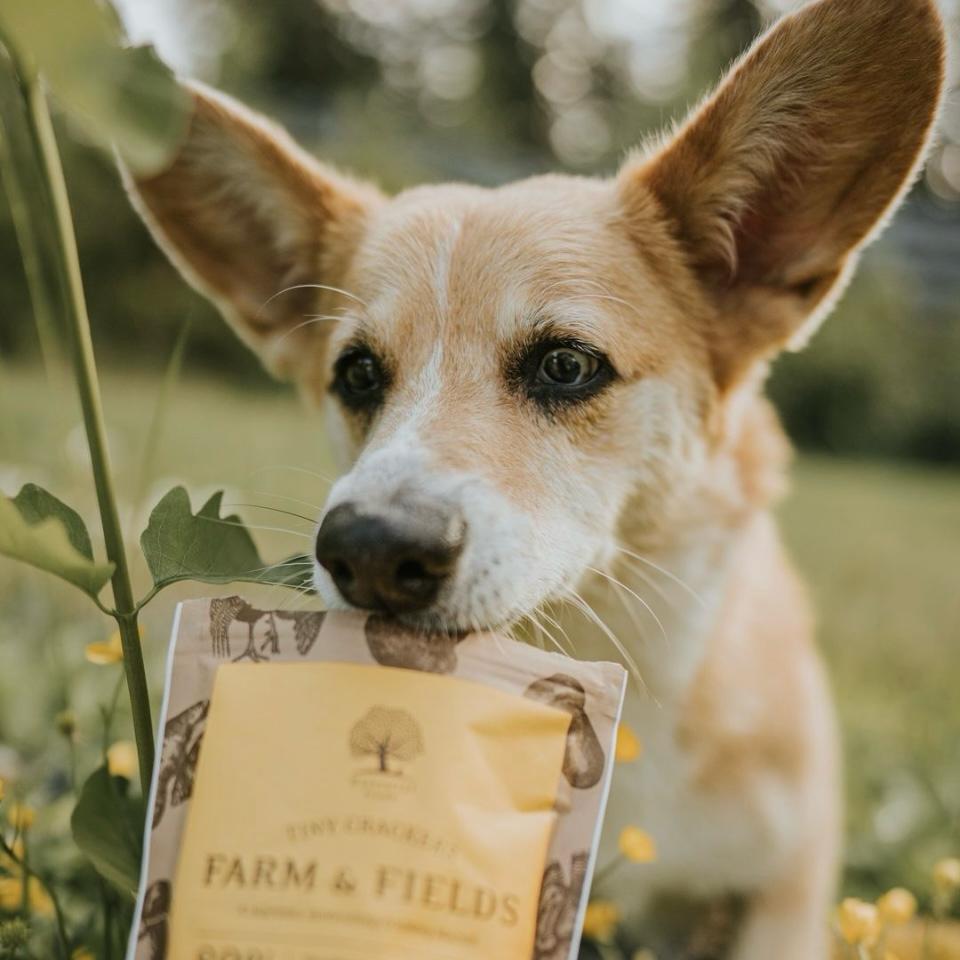 Essential Farm & Fields Tiny Crackers