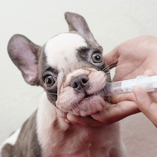 Puppy Deworming Suspension