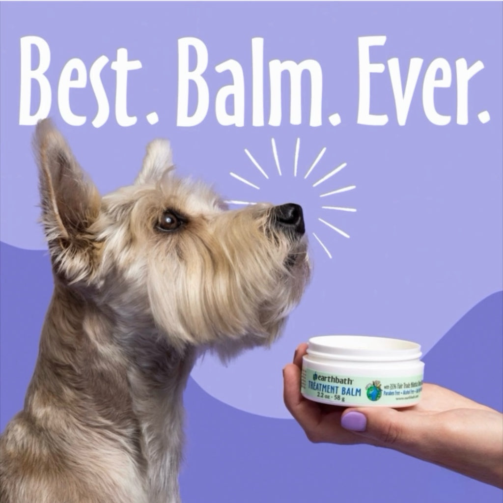 Earthbath Treatment Balm