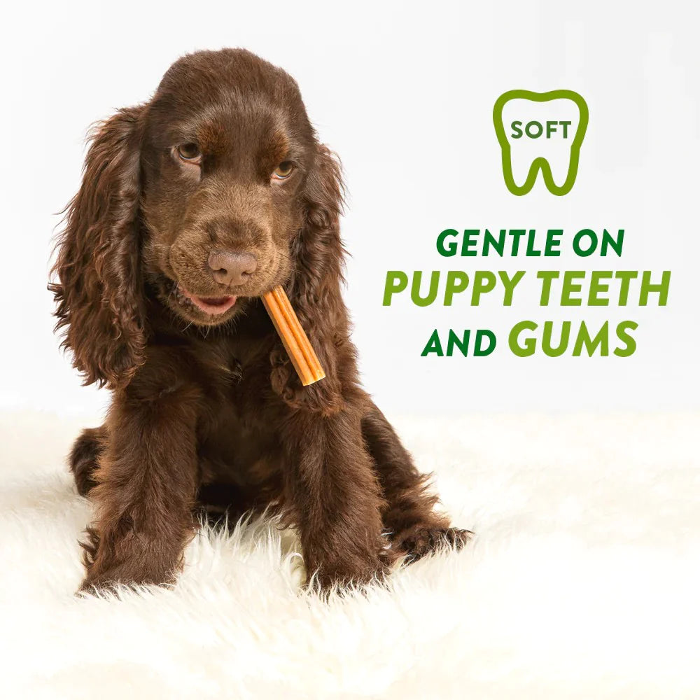 Puppy Dental Chews - XS/S