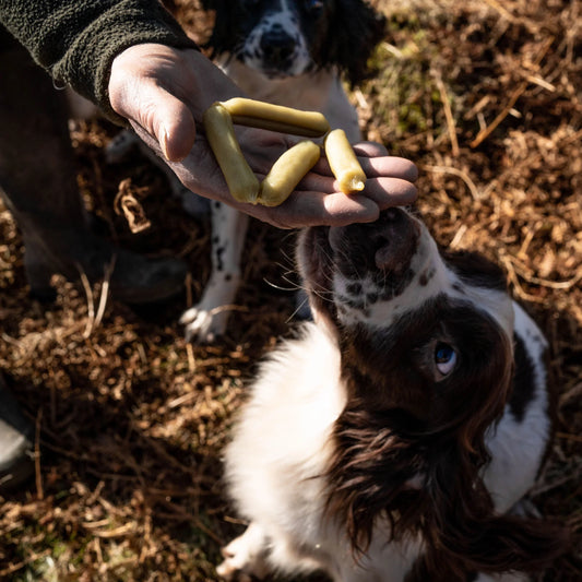 Aloe Vera & Spirulina Skin & Coat Support Treats