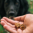 Load image into Gallery viewer, Tribal Trainers Duck Carrot & Apple Treats For Dogs
