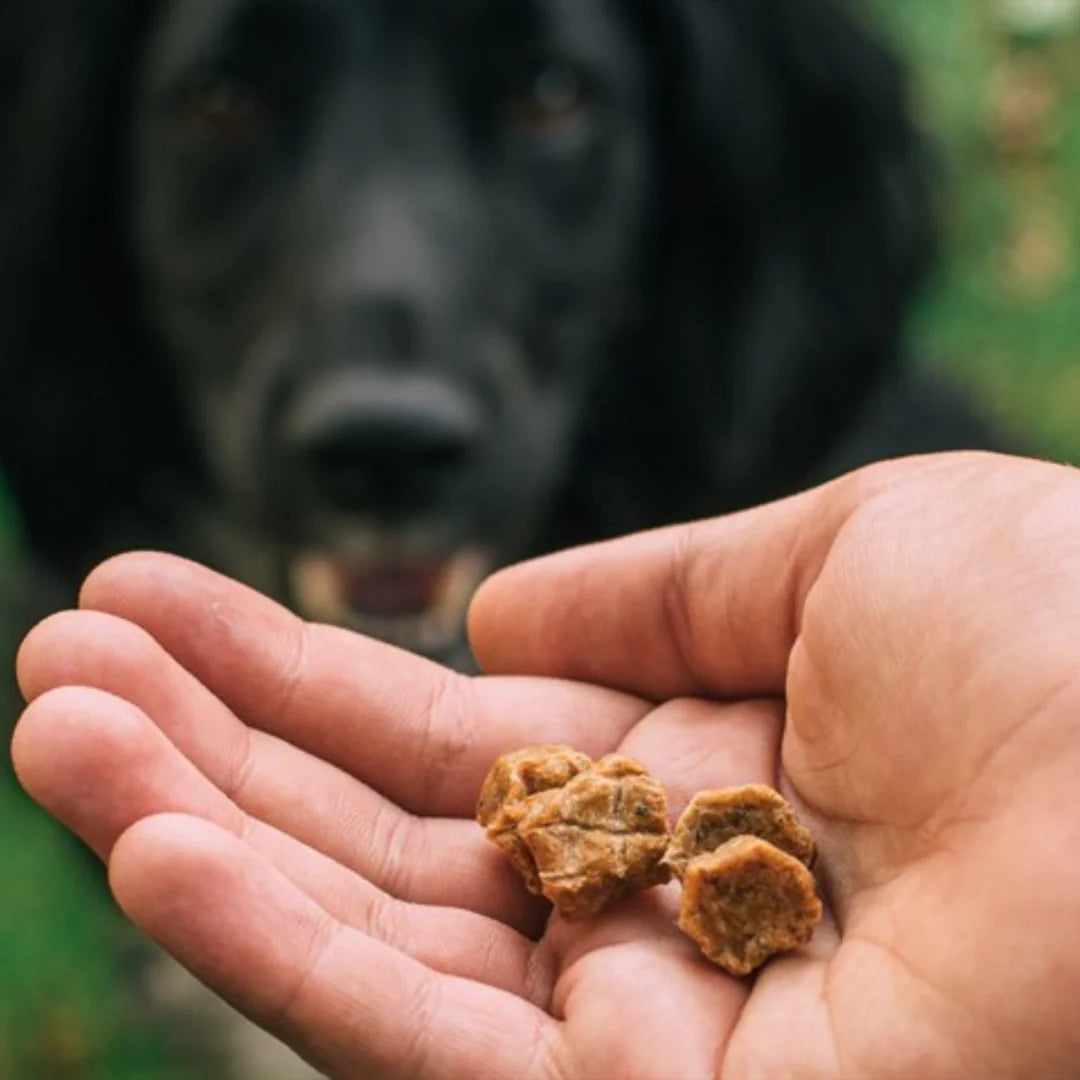 Tribal Trainers Duck Carrot & Apple Treats For Dogs