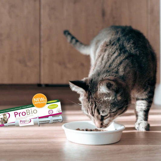 ProBio Paste for Cats & Kittens