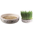 Load image into Gallery viewer, Grass in Ceramic Bowl for Cats
