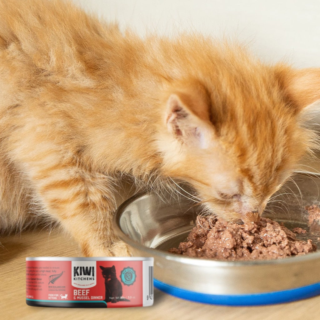 Beef & Mussel Dinner Canned Wet Kitten Food