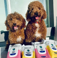 تحميل الصورة في عارض المعرض, Earthbath Ultra-Mild Puppy Wipes - Wild Cherry
