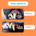 Load image into Gallery viewer, Dog Teeth Cleaning Wipes
