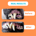 Load image into Gallery viewer, Our Dogs Life Dog Teeth Cleaning Wipes
