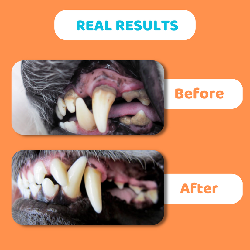 Dog Teeth Cleaning Wipes