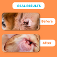 Load image into Gallery viewer, Dog Ear Cleaning Solution
