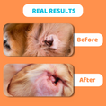 تحميل الصورة في عارض المعرض, Our Dogs Life Dog Ear Cleaning Solution
