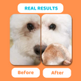 Load image into Gallery viewer, Our Dogs Life Eye Wipes for Dogs
