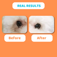 تحميل الصورة في عارض المعرض, Our Dogs Life Anti-Bacterial Eye Wash for Dogs
