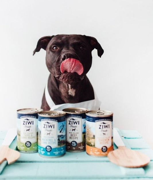 Ziwi Peak Wet Tripe & Lamb Recipe for Dogs Can – Showcasing the premium ingredients like tripe and lamb, emphasizing its rich texture and nutritional benefits.