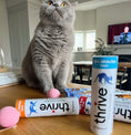 Load image into Gallery viewer, Thrive Freeze-Dried Shrimp Cat Treats
